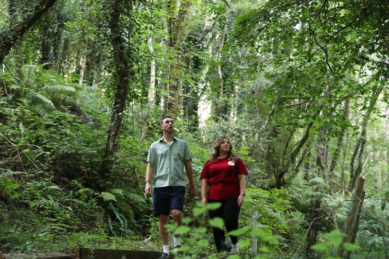 Two people walking along a woodland path surrounded by trees and greenery on a campus nature area.